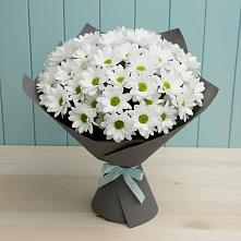 Букет цветов из:  Хризантемы в Кинели Самарская область
