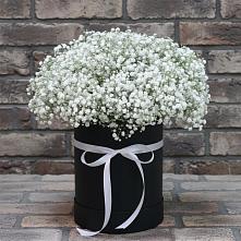 Цветочная композиция из Гипсофила в шляпной коробке в Кинели Самарская область