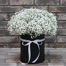 Цветочная композиция из Гипсофила в шляпной коробке в Кинели Самарская область
