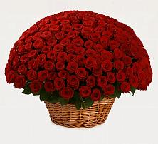 Премиум букет из: Розы в Кинели Самарская область