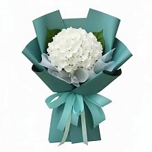 Букет цветов из:  Гортензия в Кинели Самарская область